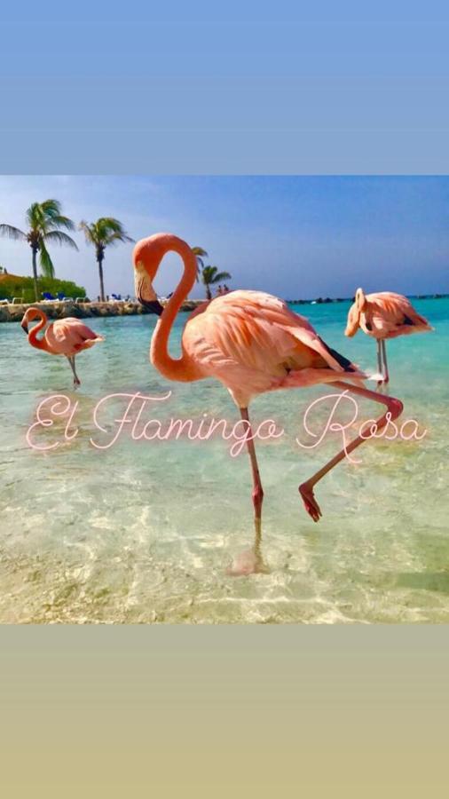 Casa Vacanze El Flamingo Rosa Cod Iun P5386 Iglesias Bagian luar foto